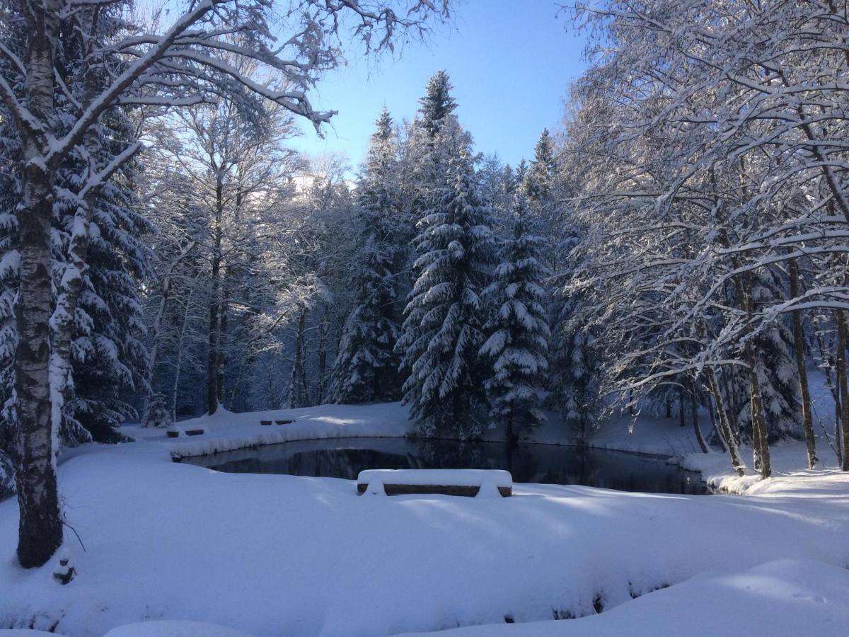 Chata Rozhlas Železná Ruda Zewnętrze zdjęcie